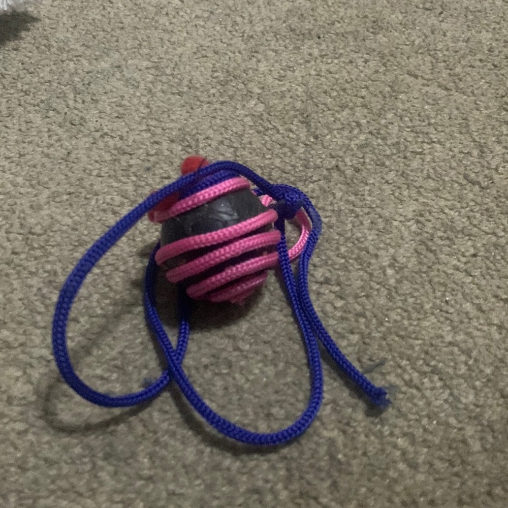 Toy ball for you cat!